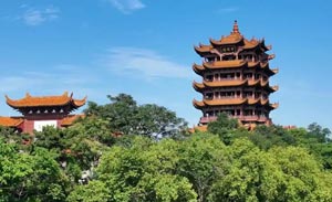 湖北省工商名录大全