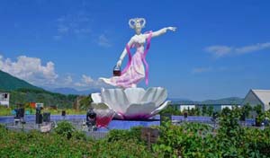 甘肃定西市工商名录大全