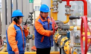 全国燃气公司工商名录