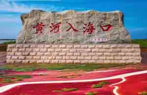 山东东营市公司黄页
