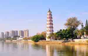广东东莞市公司名录