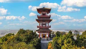 新湖北鄂州市企业黄页库