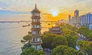 新江西九江市公司名录